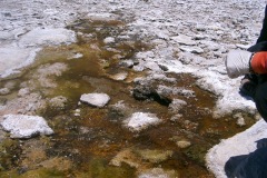 CIMG0040