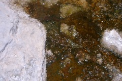 CIMG0042
