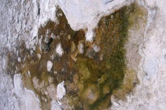 CIMG0044