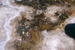 CIMG0045