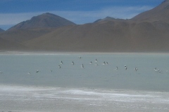 CIMG0057