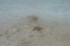 CIMG0059