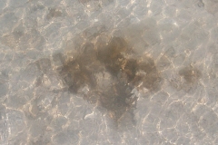 CIMG0060