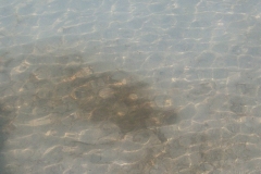 CIMG0061