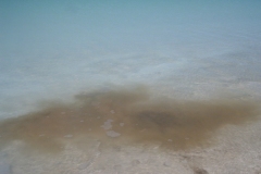 CIMG0065