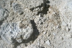 CIMG0067