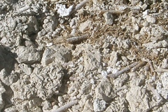 CIMG0069