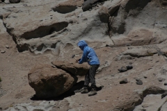 DSC5529