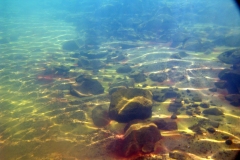 LicanLake1