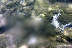 LicanLake11