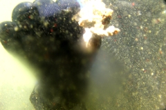 LicanLake14