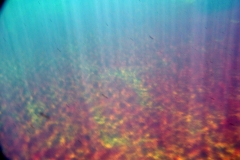 LicanLake17