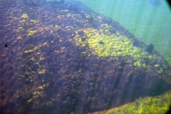 LicanLake18