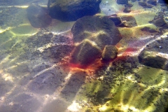 LicanLake3