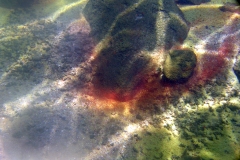 LicanLake4