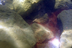LicanLake6