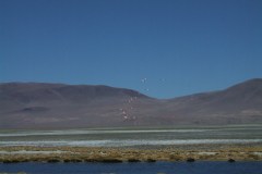 DSCF4591