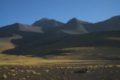 DSCF4874