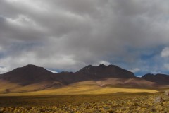 IMG_5848
