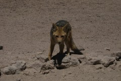 IMG_5910