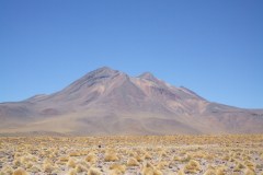 DSCF4413