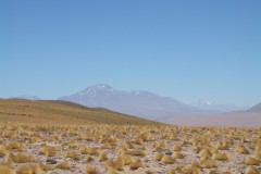 DSCF4414