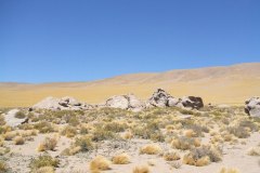 DSCF4461