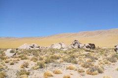 DSCF4462