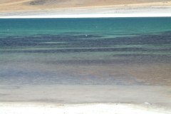 DSCF4444