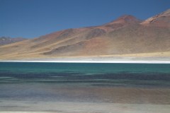 DSCF4446