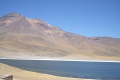 DSCF4454