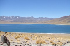 DSCF4419