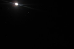IMG_6469