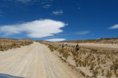 IMG_8314