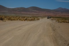 IMG_8318