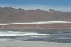 IMGP0062