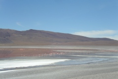 IMGP0063