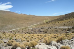 IMGP0088_001