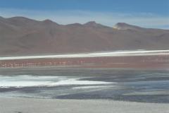 Laguna_Colorada__Large_