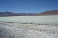 IMGP0058