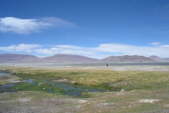 IMGP0096