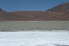 IMGP0112
