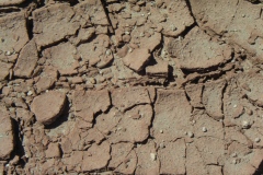 IMGP0067