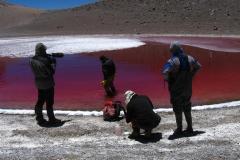 IMG_8679_Log_5_sampling__Large_