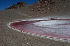 IMG_8703b