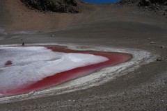 IMG_8705