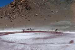 IMG_8708