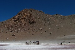 IMG_8721