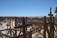 IMGP0027
