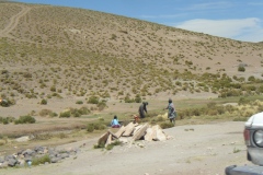 IMGP0084